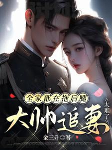 大帅追妻太难了TXT下载