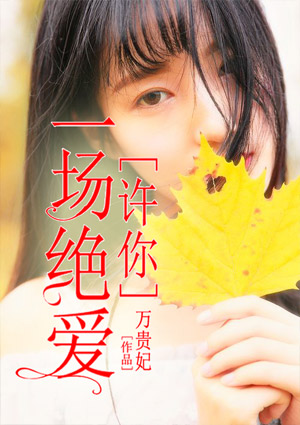 夜的第一章了没